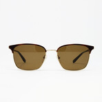 Men's SF180S Sunglasses // Havana + Shiny Gold