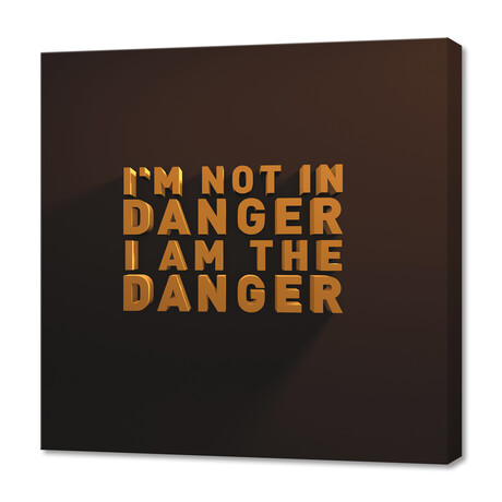 I'm Not in Danger. I Am the Danger. (12"H x 12"W x 0.75"D)