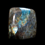 Large Iridescent Labradorite Freeform // v.3