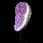 Amethyst Small-Crystal Geode On Stand // v.1