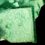 Color Zoned Two-Toned Green Cubic Fluorite