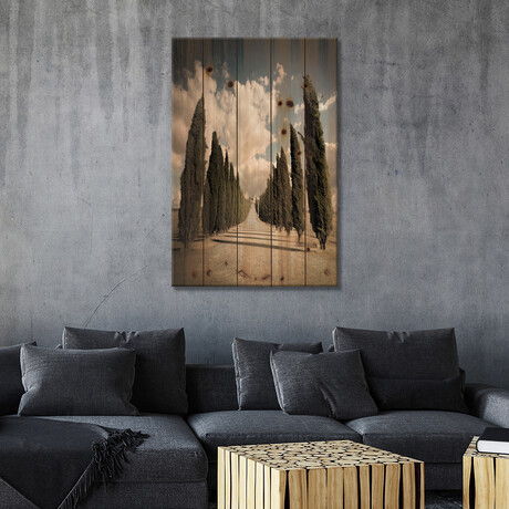 Val D'Orcia by Enzo Romano (40"H x 26"W x 1.5"D)