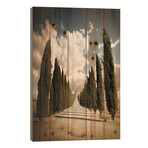 Val D'Orcia by Enzo Romano (40"H x 26"W x 1.5"D)