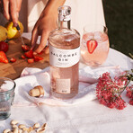 Salcombe Gin Set // Start Point + Rosé Sainte Marie // 750 ml Each