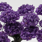 The Protection Tree // Genuine Amethyst Clustered Gemstone Tree + Amethyst Matrix // Custom v.5