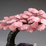 Rose Quartz Clustered Gemstone Tree + Amethyst & Calcite Matrix // Giant Custom