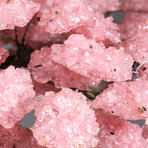 Rose Quartz Clustered Gemstone Tree + Amethyst & Calcite Matrix // Giant Custom