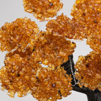 The Calming Tree // Citrine Clustered Gemstone Tree + Citrine Matrix // Custom v.2