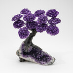 The Protection Tree // Genuine Amethyst Clustered Gemstone Tree + Amethyst Matrix // Custom v.5