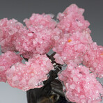 Large Genuine Rose Quartz Clustered Gemstone Tree on Amethyst Matrix  // The Love Tree