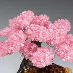 Large Genuine Rose Quartz Clustered Gemstone Tree on Citrine Matrix // The Comfort Tree