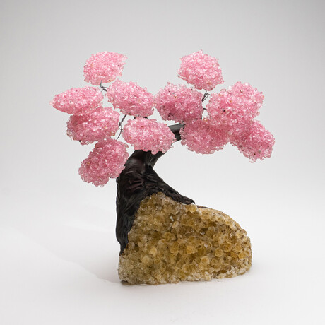 The Comfort Tree // Genuine Rose Quartz Clustered Gemstone Tree + Citrine Matrix // Custom