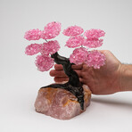 The Eternal Love Tree // Rose Quartz Clustered Gemstone Tree + Rose Quartz Matrix // Custom v.2