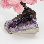 The Love Tree // Genuine Rose Quartz Clustered Gemstone Tree + Amethyst Matrix // Custom v.1