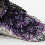 The Protection Tree // Genuine Amethyst Clustered Gemstone Tree + Amethyst Matrix // Custom v.5