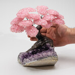 The Love Tree // Genuine Rose Quartz Clustered Gemstone Tree + Amethyst Matrix // Custom v.1