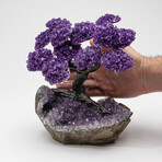 The Protection Tree // Genuine Amethyst Clustered Gemstone Tree + Amethyst Matrix // Custom v.6