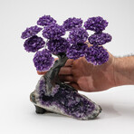 The Protection Tree // Genuine Amethyst Clustered Gemstone Tree + Amethyst Matrix // Custom v.5