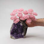 The Love Tree // Genuine Rose Quartz Clustered Gemstone Tree + Amethyst Matrix // Custom v.2