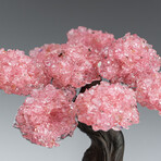 Medium Genuine Rose Quartz Clustered Gemstone Tree on Amethyst Matrix // The Love Tree