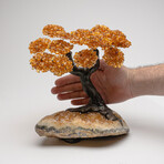 The Calming Tree // Citrine Clustered Gemstone Tree + Citrine Matrix // Custom v.2