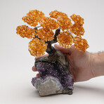 The Money Tree // Genuine Citrine Clustered Gemstone Tree + Amethyst Matrix // Medium