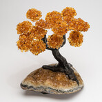 The Calming Tree // Citrine Clustered Gemstone Tree + Citrine Matrix // Custom v.2