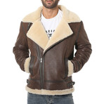 Henry Shearling Pilot Jacket // Vintage Nut + Beige Curly Wool (Small)