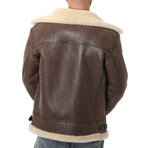 Henry Shearling Pilot Jacket // Vintage Nut + Beige Curly Wool (Small)