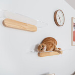 Oblong // Clear Floating Cat Shelf (23.5 inch)