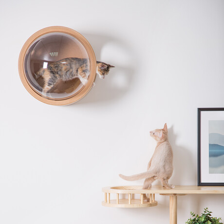 Spaceship Gamma // Wall Mounted Cat Bed // Oak (Left Opening)