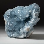 Genuine Natural Blue Celestite Geode Crystal Cluster