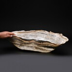 Large Genuine Natural Onyx Bowl // V2