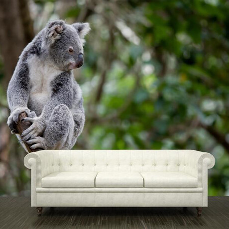 Australian Koala (3’H x 4’ 5”W)