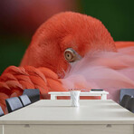 Peeking Flamingo (3’H x 4’ 5”W)