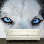 Husky Blue Eyes (3’H x 4’ 5”W)