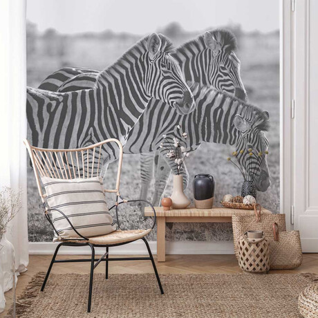 Panoramic Zebras (3’H x 4’ 5”W)