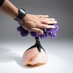 The Positivity Tree // Genuine Custom Amethyst Clustered Gemstone Tree on Rose Quartz Matrix v.1