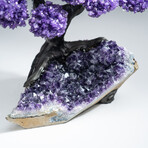 The Protection Tree // Genuine Custom Amethyst Clustered Gemstone Tree on Amethyst Matrix