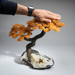 The Calming Tree // Massive Custom Citrine Clustered Gemstone Tree on Citrine Matrix
