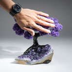 The Protection Tree // Genuine Custom Amethyst Clustered Gemstone Tree on Amethyst Matrix