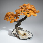 The Calming Tree // Massive Custom Citrine Clustered Gemstone Tree on Citrine Matrix
