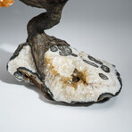 The Calming Tree // Massive Custom Citrine Clustered Gemstone Tree on Citrine Matrix