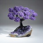 The Protection Tree // Genuine Custom Amethyst Clustered Gemstone Tree on Amethyst Matrix