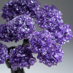 The Positivity Tree // Genuine Custom Amethyst Clustered Gemstone Tree on Rose Quartz Matrix v.1