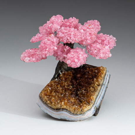 The Comfort Tree // Genuine Rose Quartz Clustered Gemstone Tree + Citrine Matrix // Medium