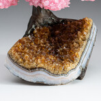 The Comfort Tree // Genuine Rose Quartz Clustered Gemstone Tree + Citrine Matrix // Medium