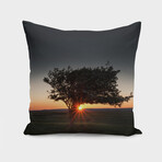 Windswept Tree at Penclawdd, Gower (14"H x 14"W)