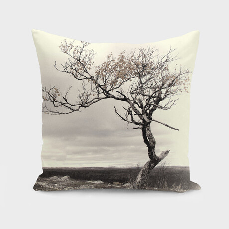 Lonely Tree (14"H x 14"W)