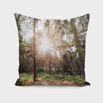 Dappled Light (14"H x 14"W)